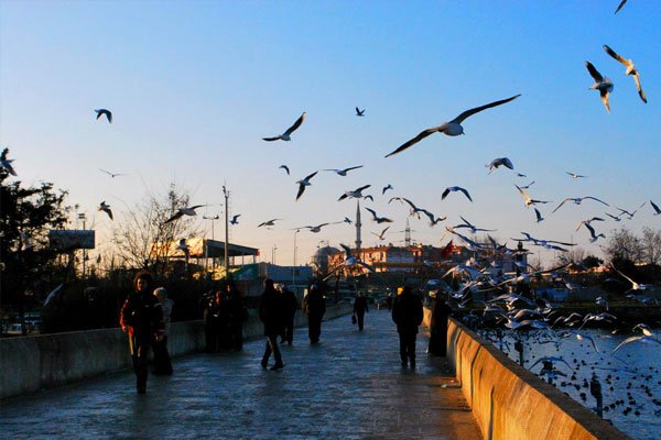 Küçükçekmece Transfer